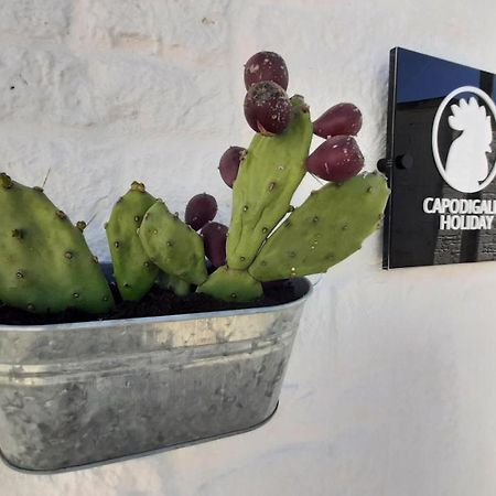 Capodigallo Holiday Trullo Monte Santo Alberobello Eksteriør billede